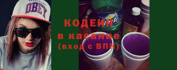 спайс Корсаков