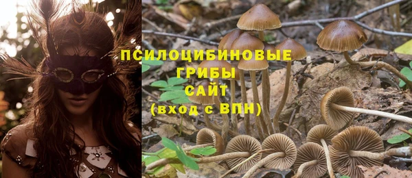 соль ск Костерёво