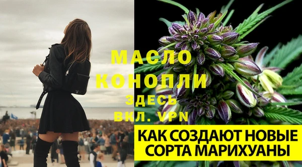соль ск Костерёво