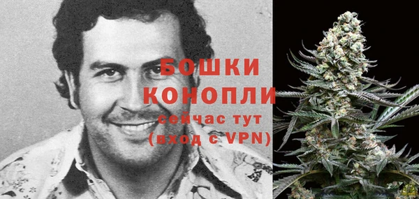 бошки Краснослободск