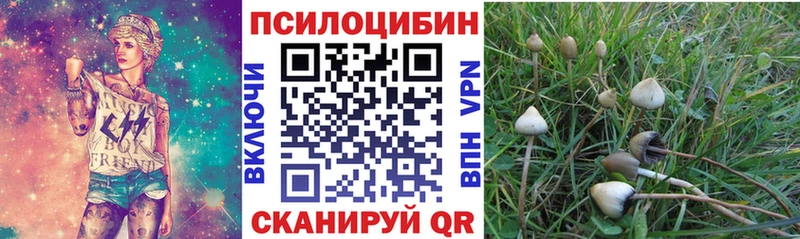 Псилоцибиновые грибы Psilocybine cubensis  Кстово 